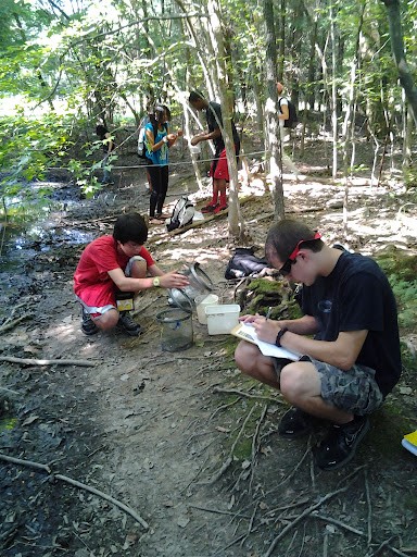 HRE Participants Collecting and Recording Data at an Ephemeral Pool