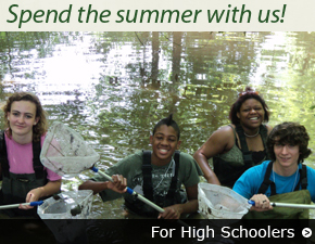 For High Schoolers For High Schoolers